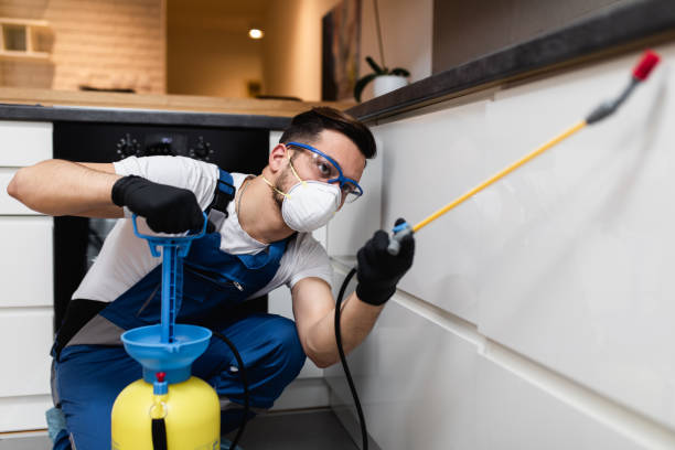 Best Bed Bug Extermination  in Malverne, NY