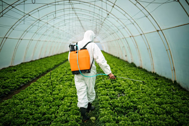 Best Affordable Pest Control Services  in Malverne, NY