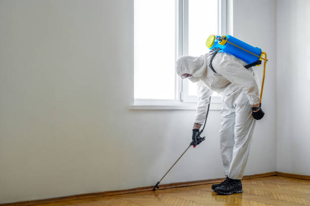 Best Mosquito Control Services  in Malverne, NY