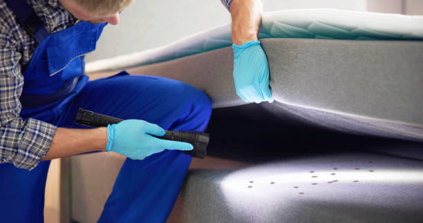 Best Best Pest Control Companies  in Malverne, NY