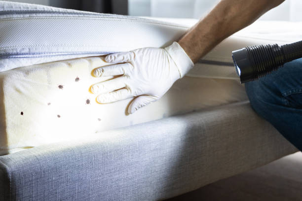 Best Exterminator Services  in Malverne, NY