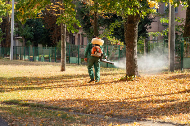 Best Insect Control  in Malverne, NY