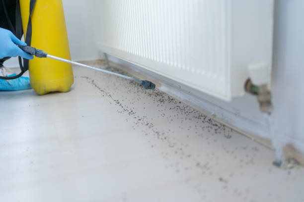 Best Residential Pest Control  in Malverne, NY